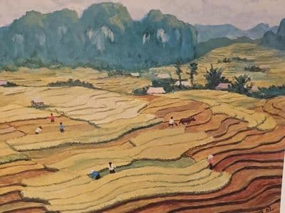 Người thầy đặc biệt của tôi (Phần 2)